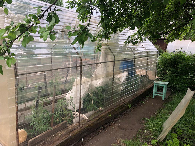 Прозрачный профлист, 3м, толщина 1мм